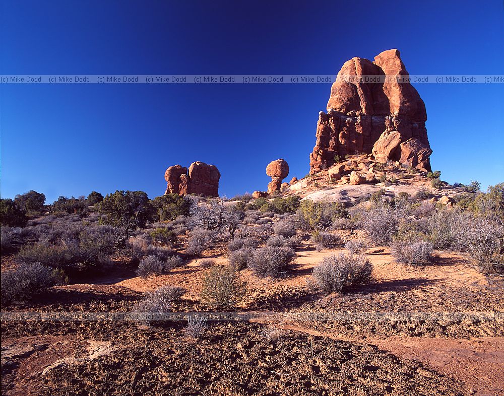Ballanced rock arches national park Utah