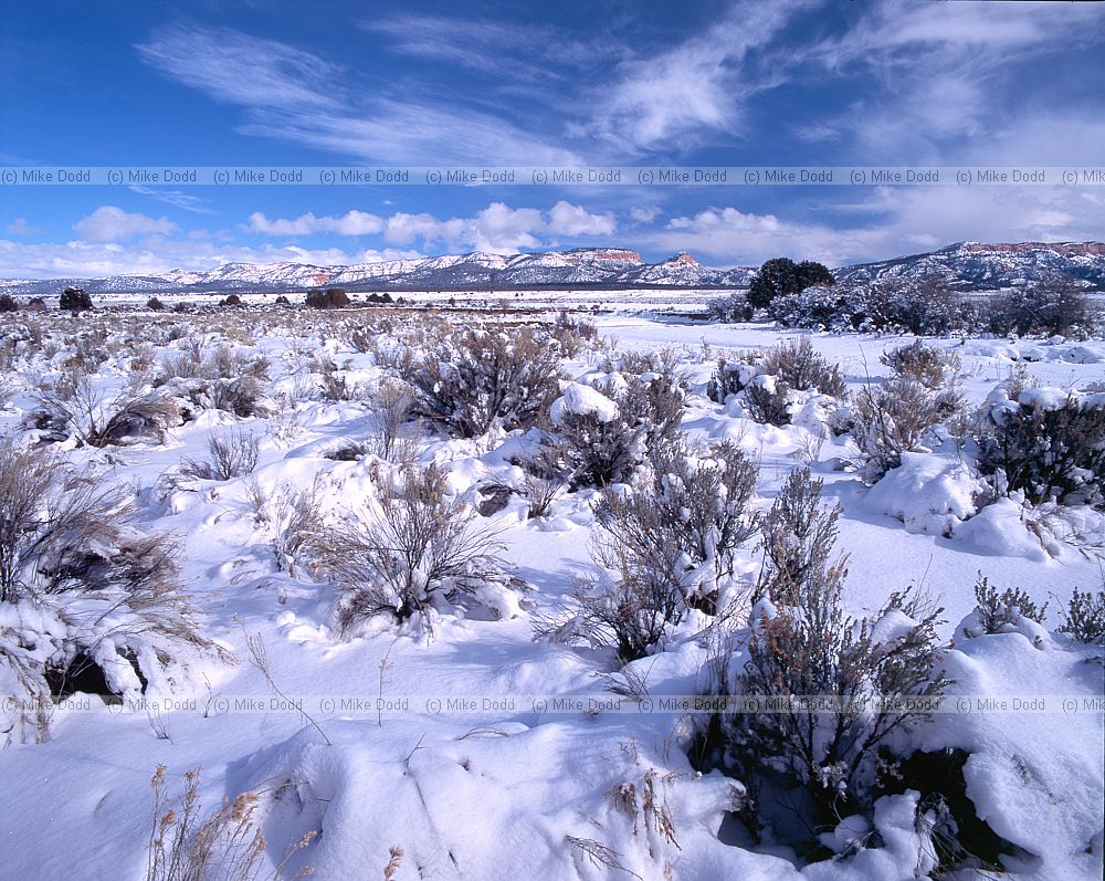 Snow near Bryce canyon