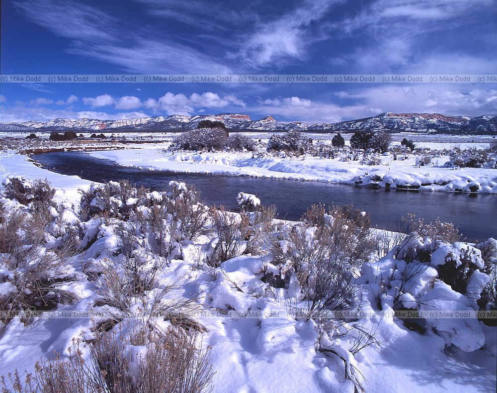 Snow near Bryce canyon