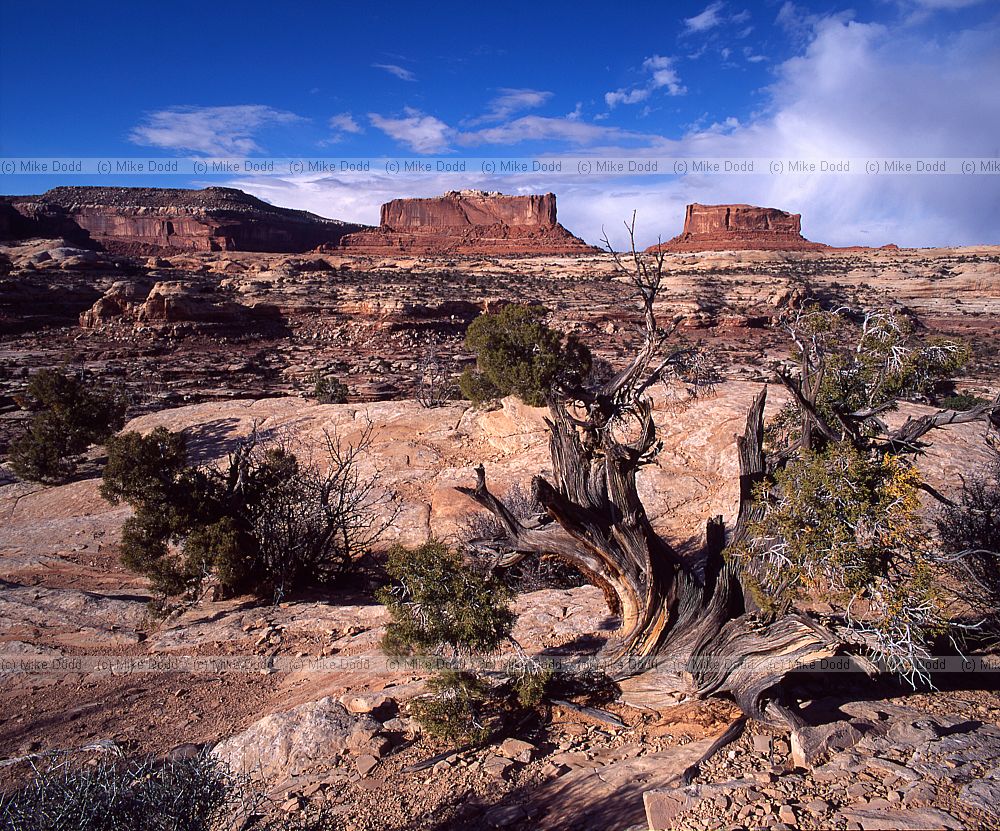 near deadhorse point Utah