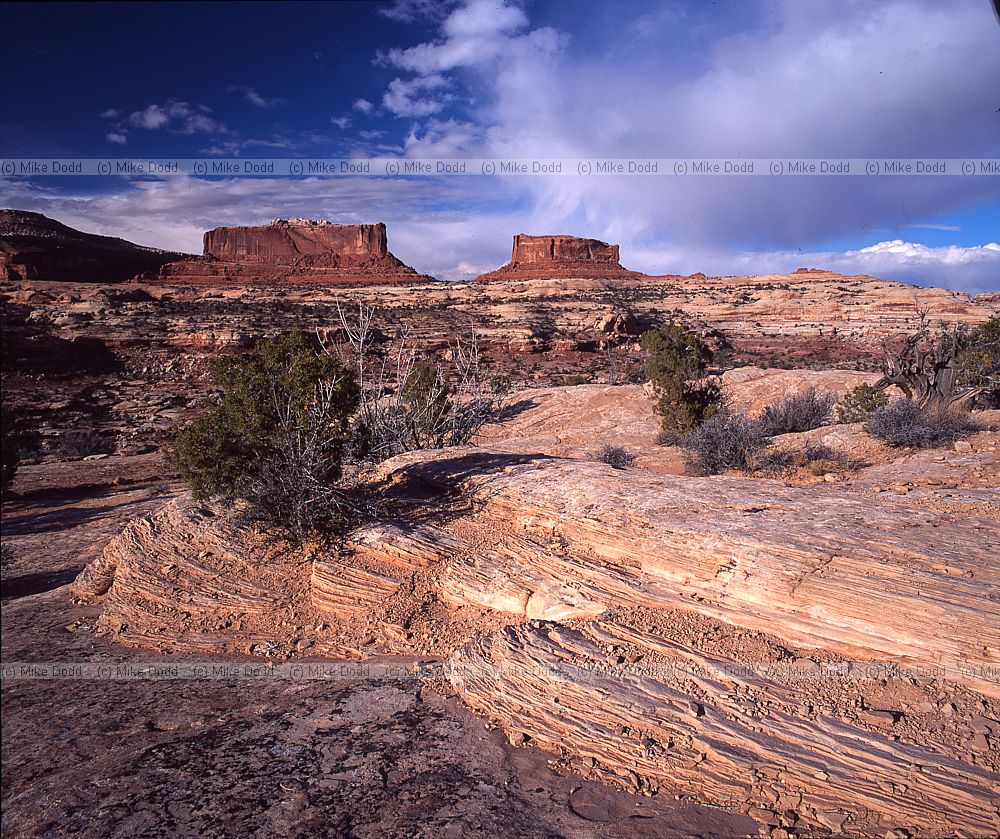 near deadhorse point Utah