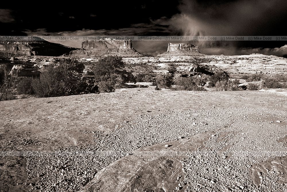 near deadhorse point Utah