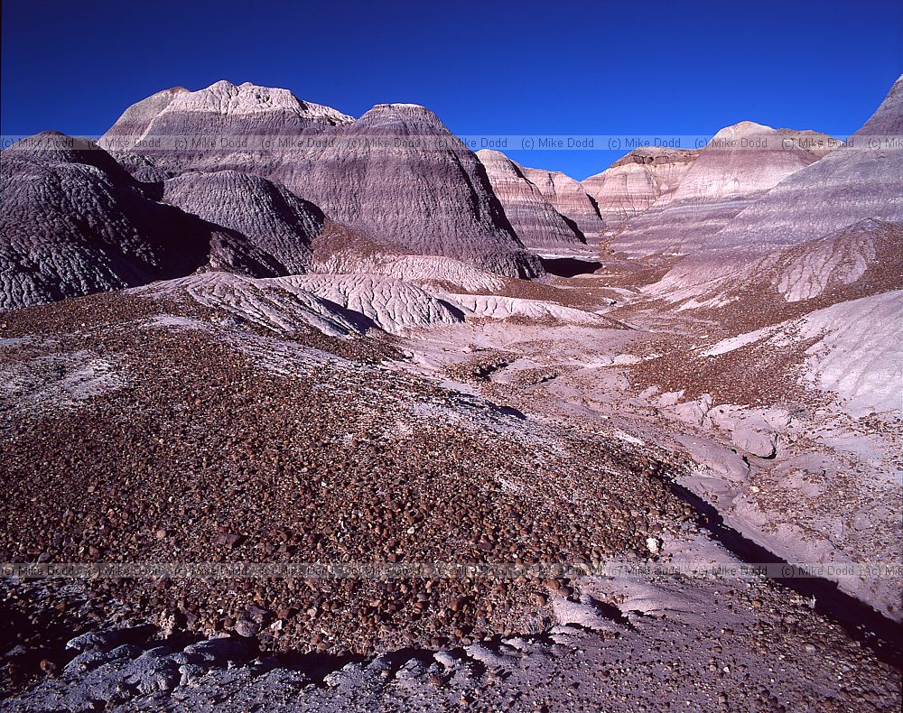 Painted desert Arizona