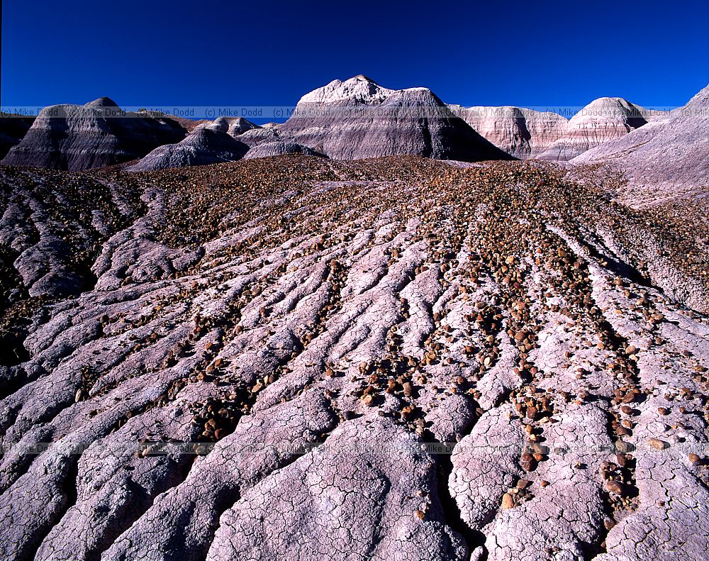 Painted desert Arizona