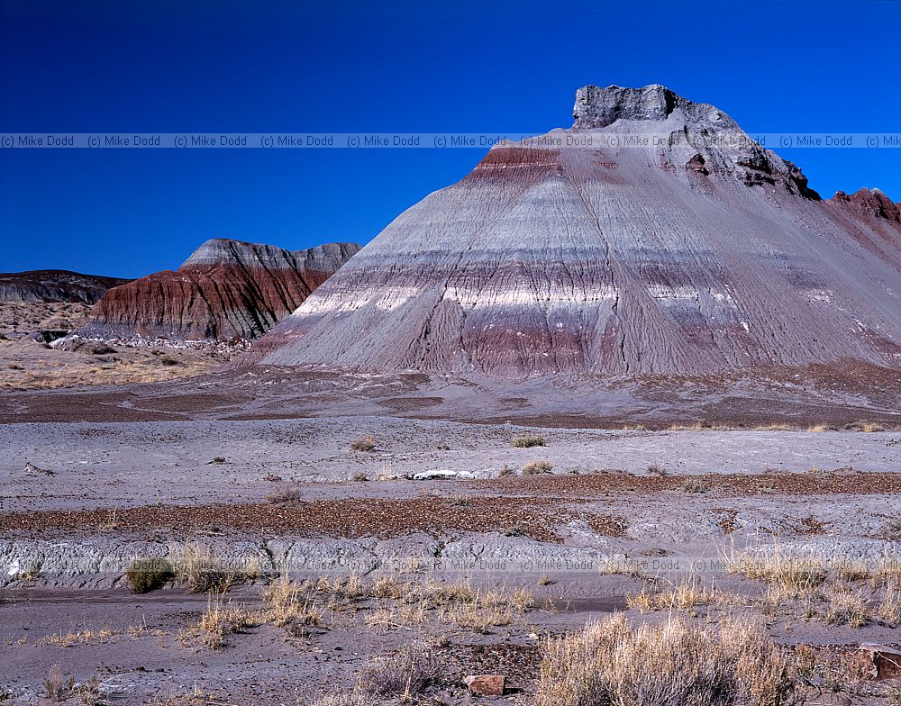 Painted desert Arizona