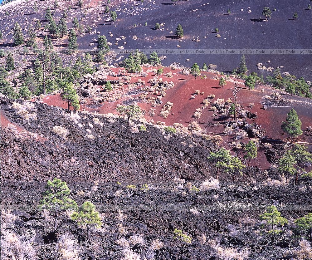 sunset crater Arizona
