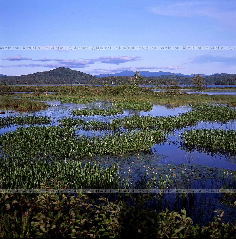 Adirondacks New York