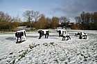 Concrete cows in snow Milton Keynes