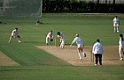 Womens cricket, Campbell park, Milton Keynes