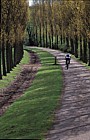 Poplars cyclist Milton Keynes