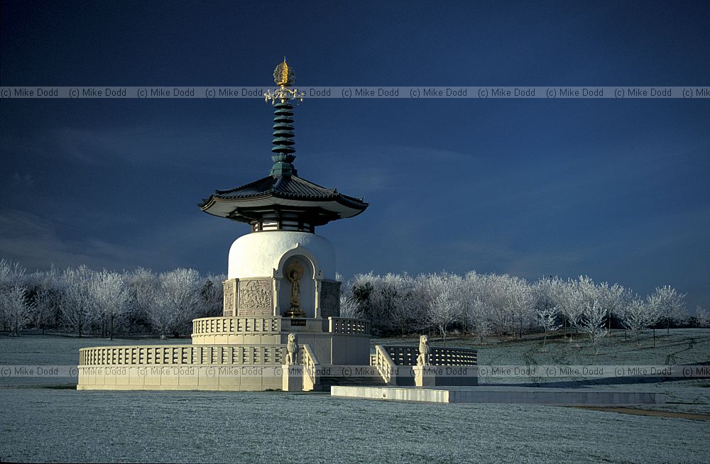 Peace pagoda with frost, Willen, Milton Keynes