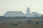 Sheep and windmill pub, mist, Caldecotte, Milton Keynes