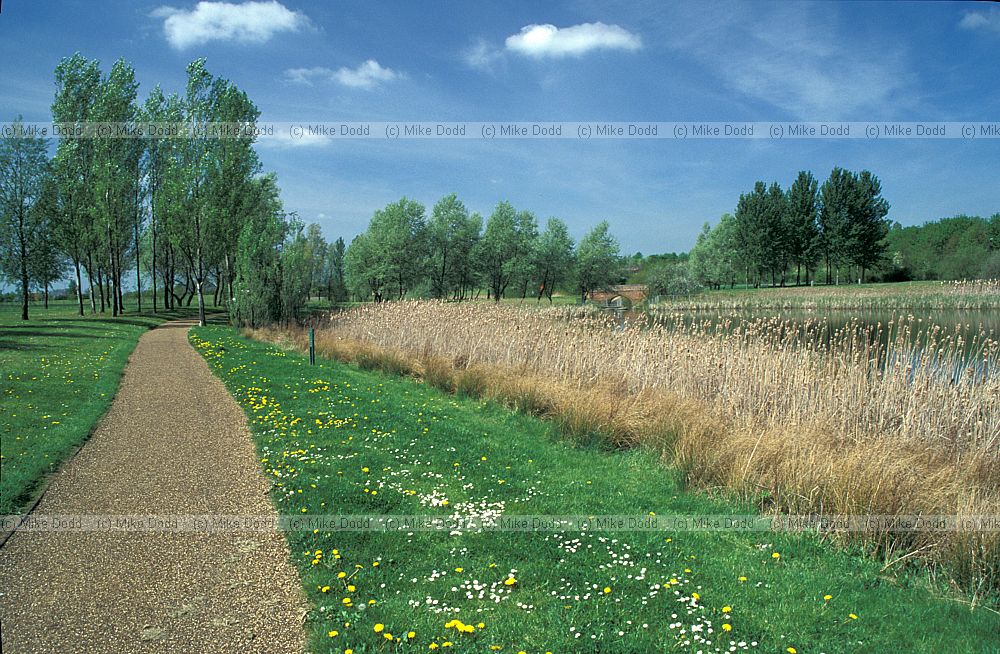 Path at teardrop lakes, Milton Keynes