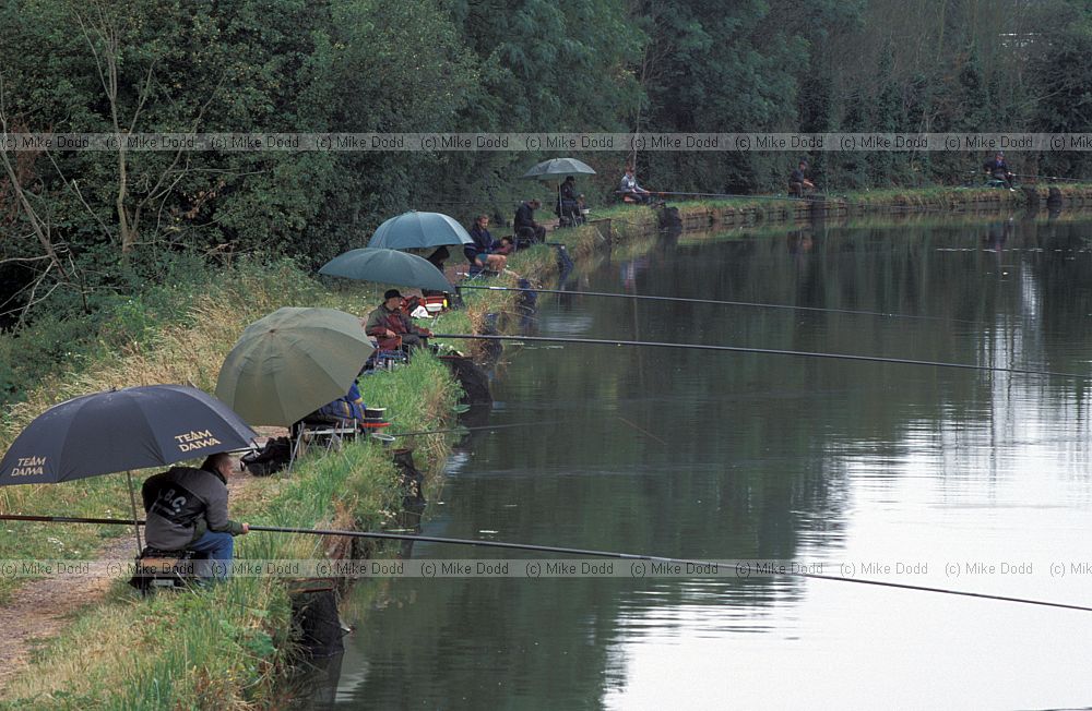 Fishermen on the grand union canal at Fenny Stratford, with umbrellas and fishing rods, Milton Keynes