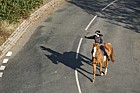 Horse and rider Milton keynes village
