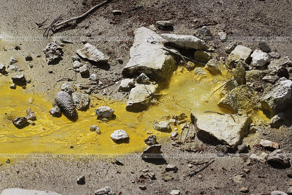 Sulphurous Hot Spring