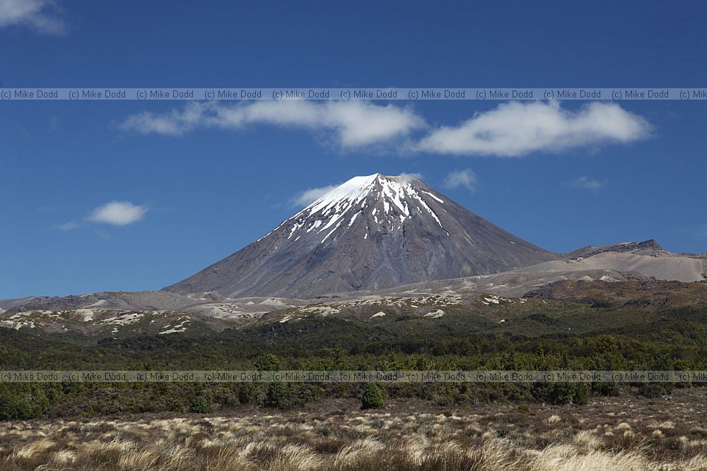 Mount Ngauruhoe volcano Tongariro National Park