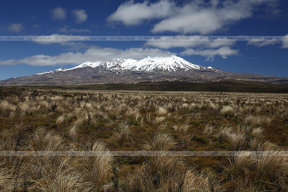 Mount Ruapehu Tongariro National Park