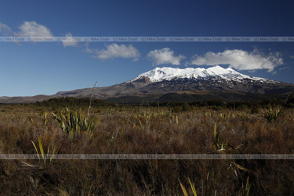 Mount Ruapehu Tongariro National Park