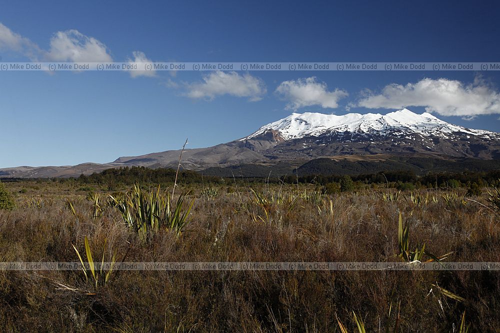 Mount Ruapehu Tongariro National Park