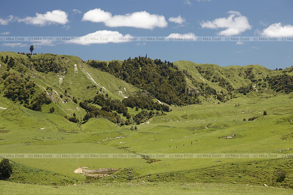 typical farming landscape near Reatihi
