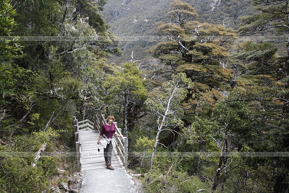 Irina in southern beech forest Arthurs pass