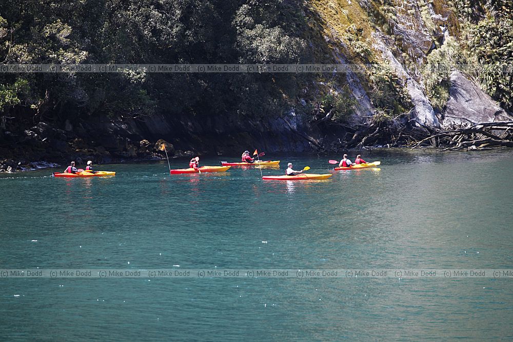 Sea kayaks Milford Sound