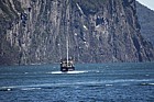 Milford Mariner tourist boat Milford Sound