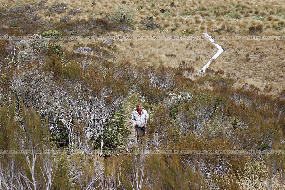 Irina Lake Misery Arthurs Pass