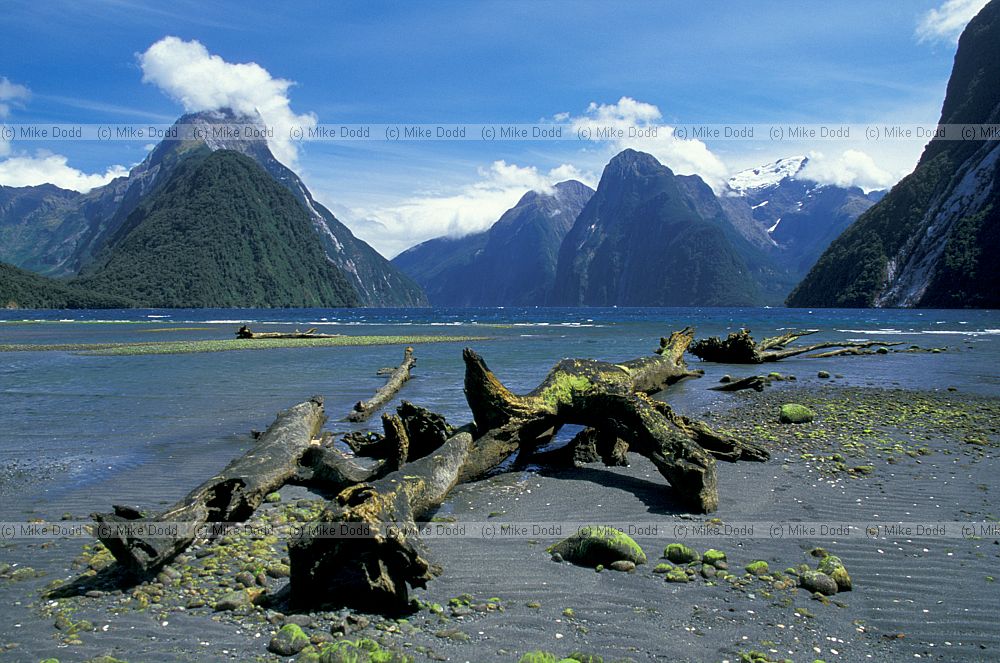 Sunny conditions at Milford Sound South Island