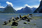 Sunny conditions at Milford Sound South Island