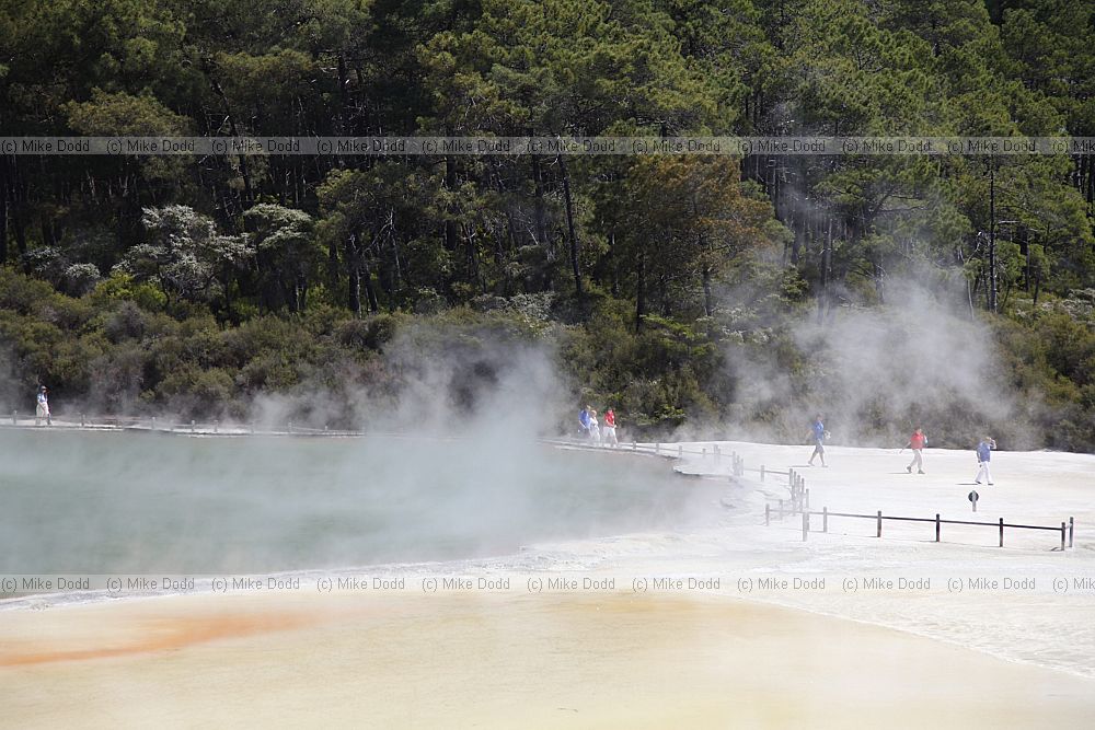 Champagne Pool geothermal feature