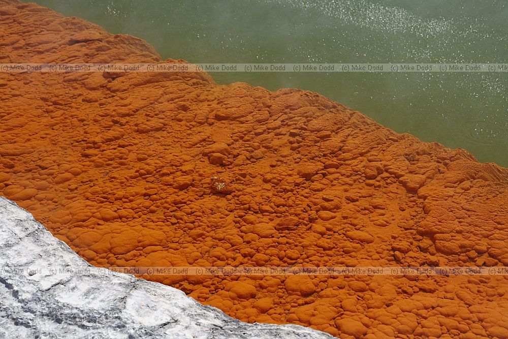 Champagne Pool geothermal feature