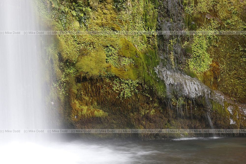 Dawson falls waterfall