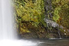 Dawson falls waterfall