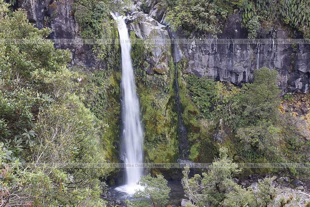 Dawson falls waterfall