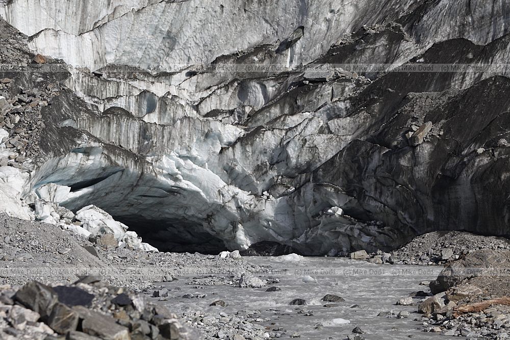 Fox glacier