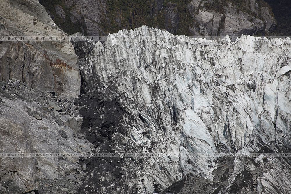 Fox glacier