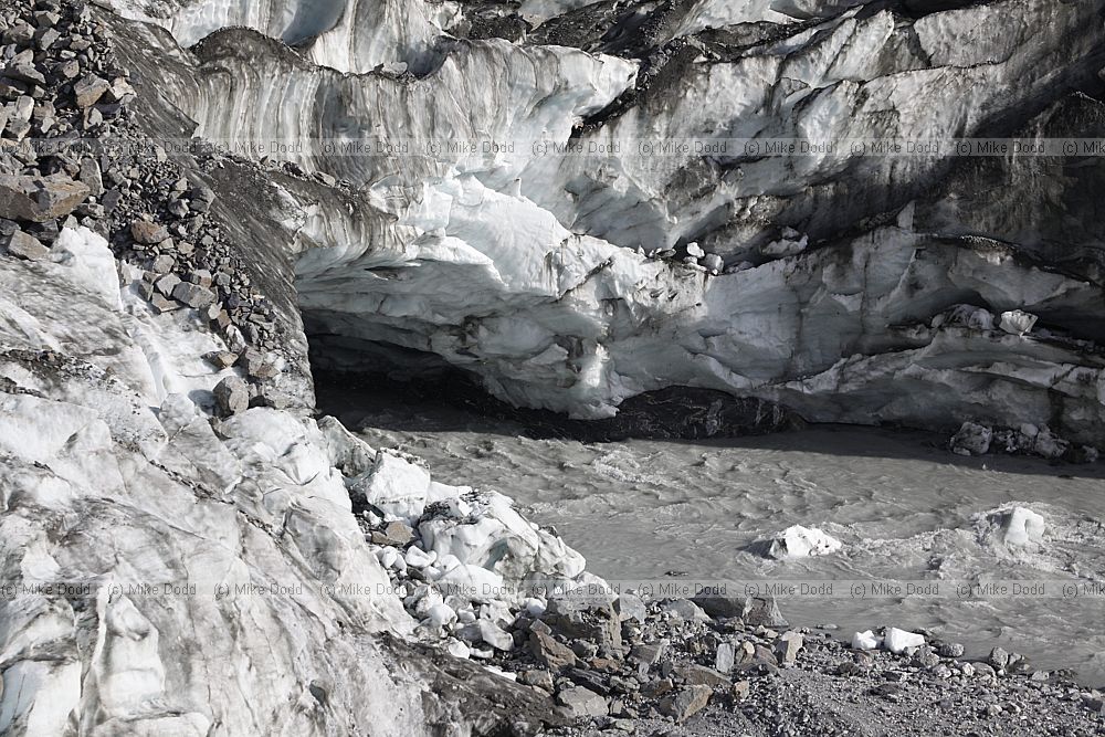 Fox glacier