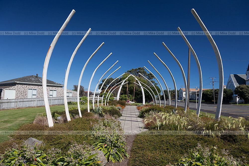 Garden of Tutunui whale sculpture by Kim Jarrett