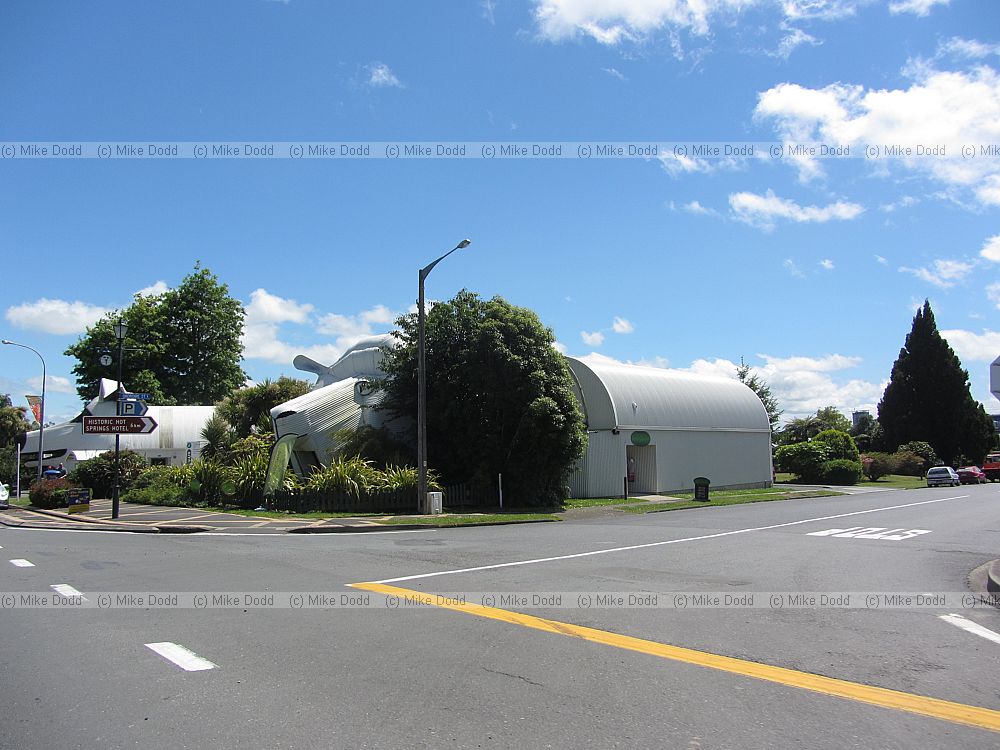 Sheep shaped building