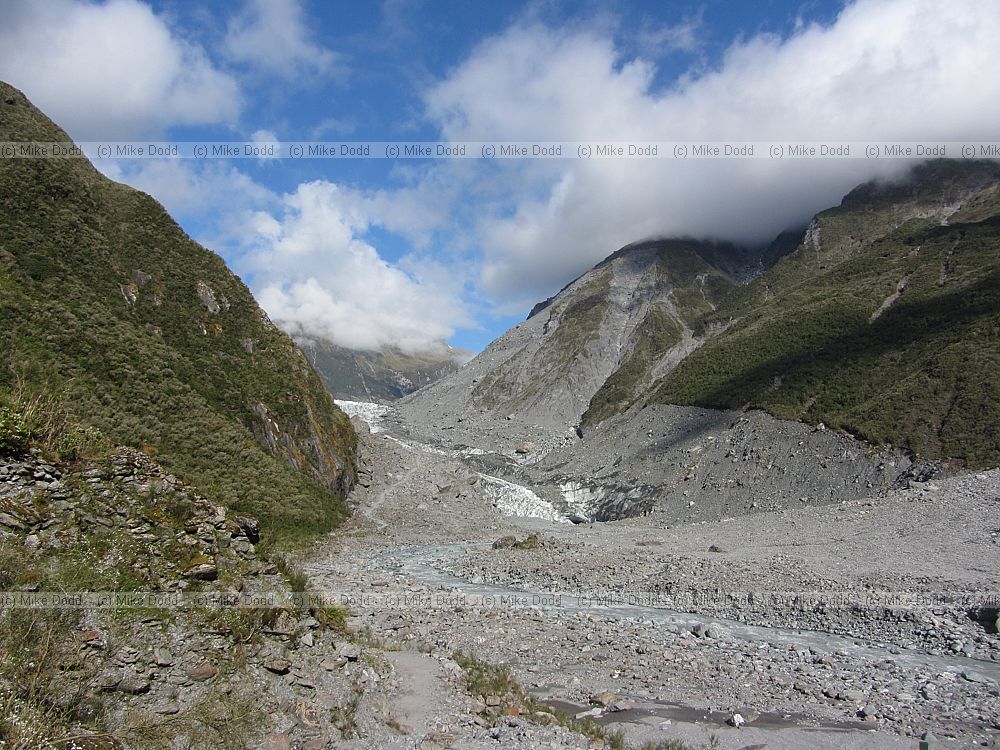 Fox glacier
