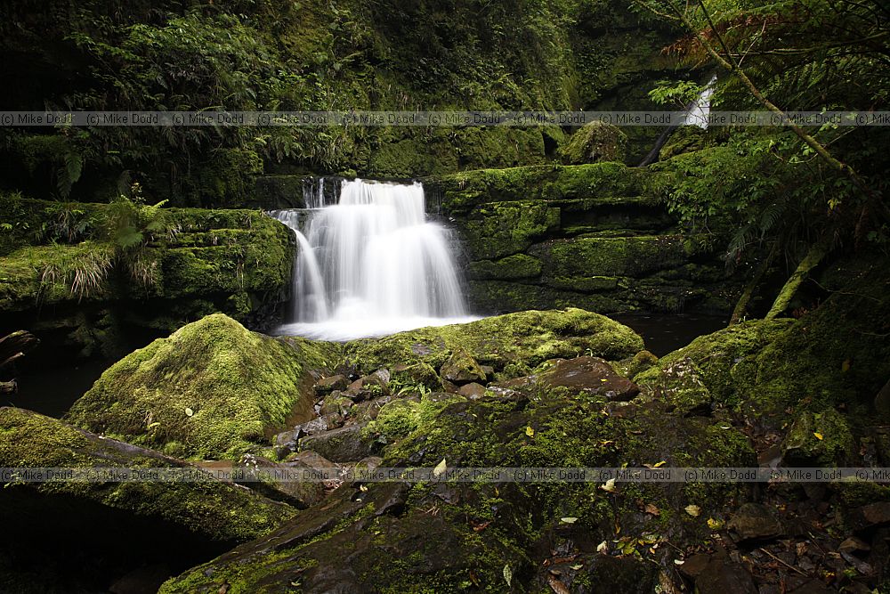 McLean Falls Waterfall in the Catlins