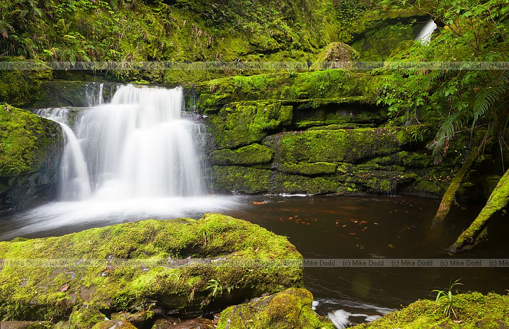 McLean Falls Waterfall in the Catlins