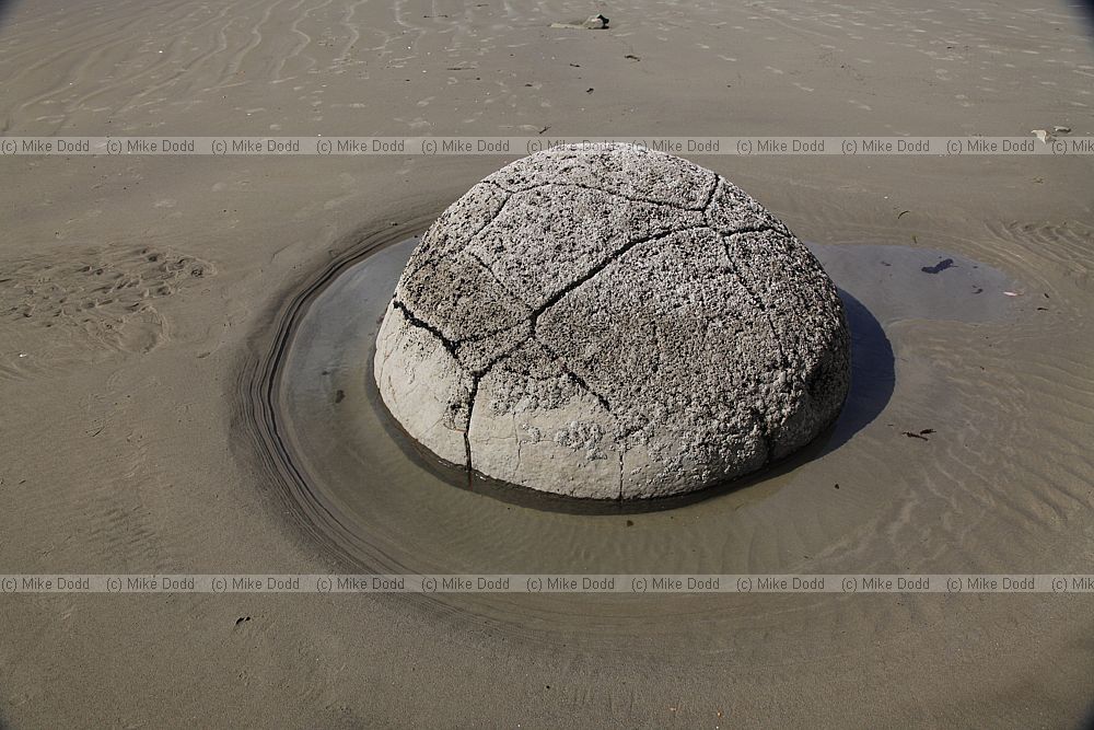 Moeraki Boulders 2013