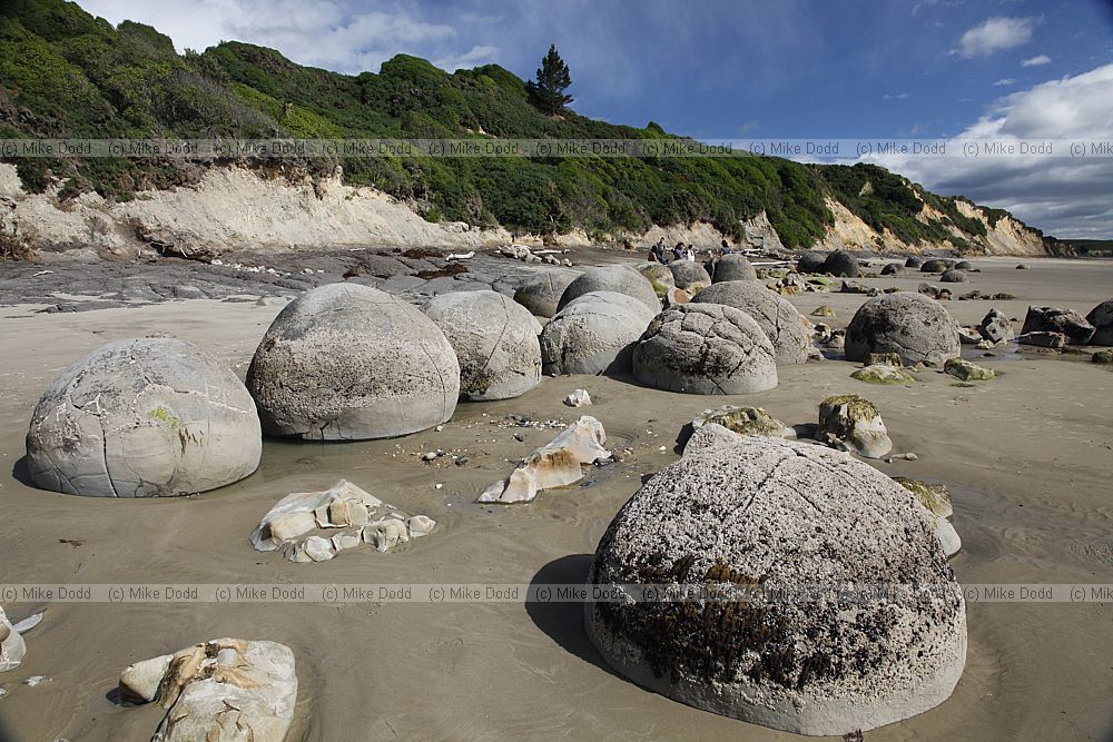 Moeraki Boulders 2013