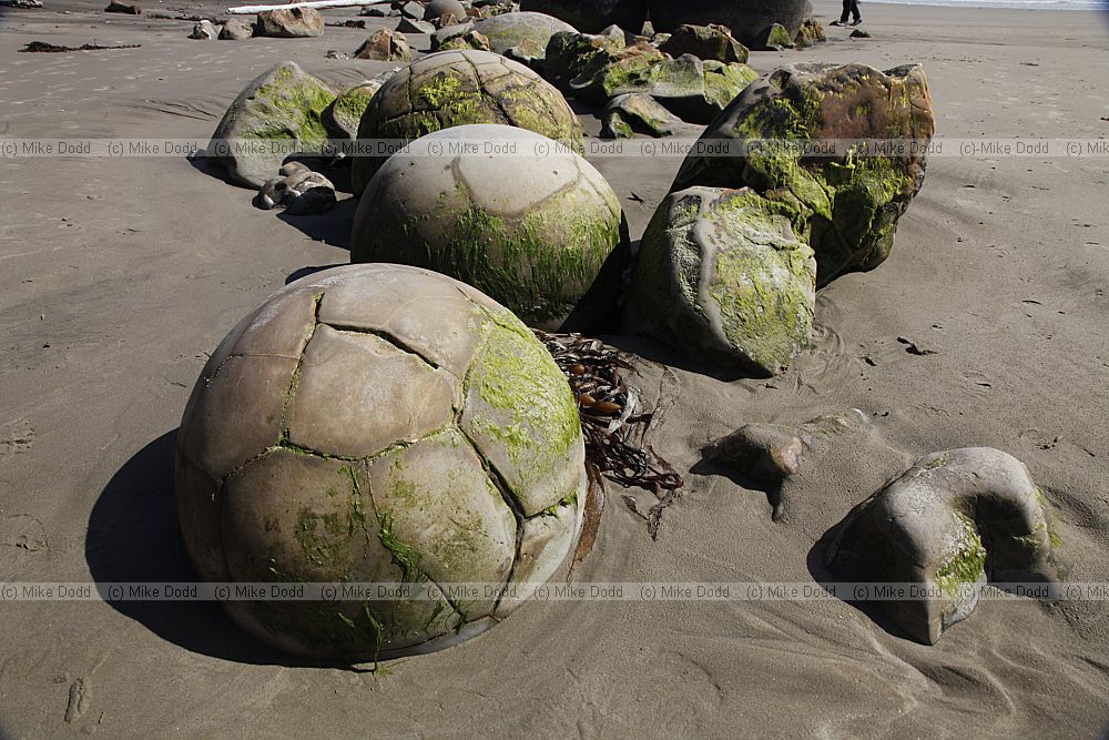 Moeraki Boulders 2013