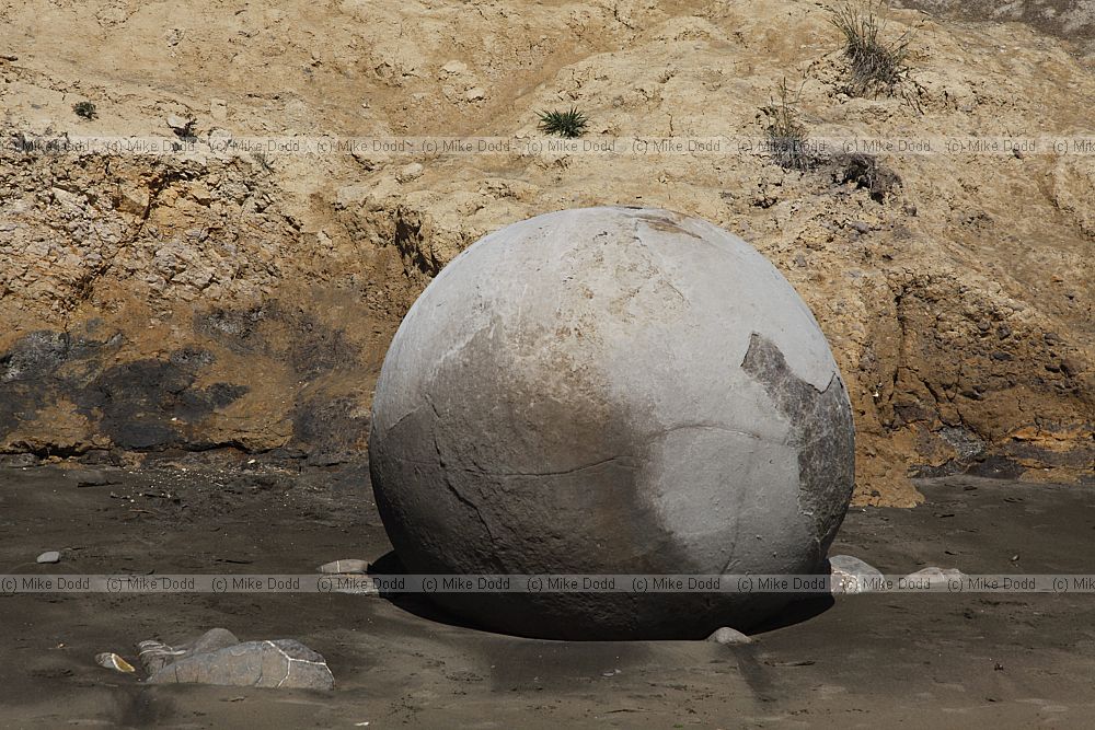 Moeraki Boulders 2013