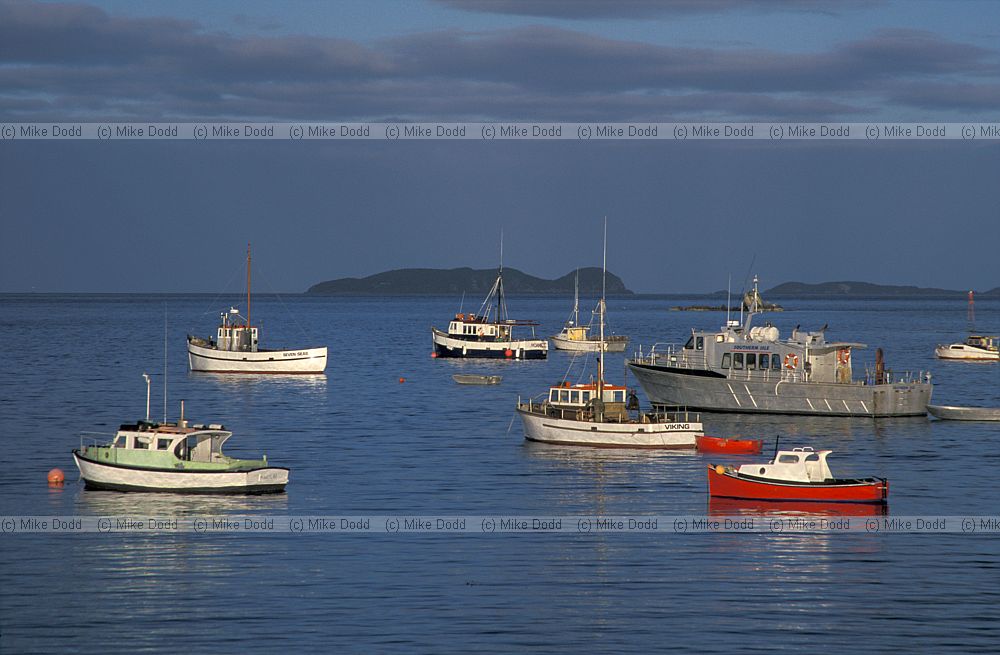 Boats halfmoon bay Stewart Island