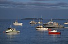 Boats halfmoon bay Stewart Island